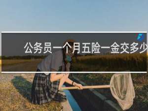 公务员一个月五险一金交多少