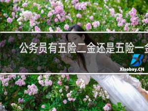 公务员有五险二金还是五险一金