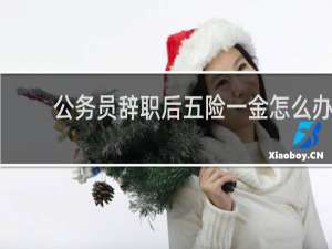 公务员辞职后五险一金怎么办