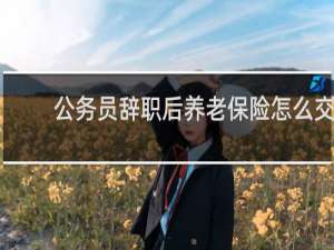 公务员辞职后养老保险怎么交