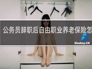 公务员辞职后自由职业养老保险怎么办