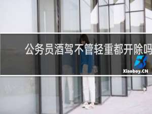 公务员酒驾不管轻重都开除吗