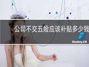 公司不交五险应该补贴多少钱