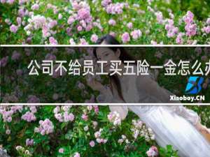 公司不给员工买五险一金怎么办