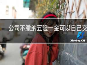 公司不缴纳五险一金可以自己交吗