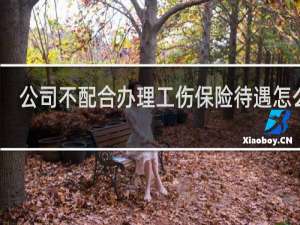 公司不配合办理工伤保险待遇怎么办