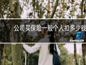 公司买保险一般个人扣多少钱