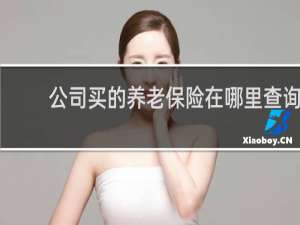 公司买的养老保险在哪里查询