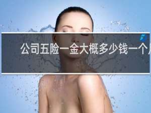 公司五险一金大概多少钱一个月