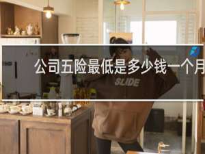 公司五险最低是多少钱一个月