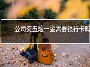 公司交五险一金需要银行卡吗