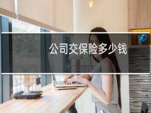 公司交保险多少钱