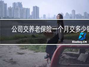 公司交养老保险一个月交多少钱