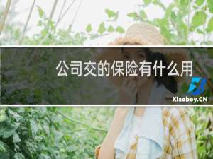公司交的保险有什么用