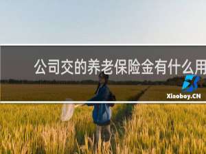 公司交的养老保险金有什么用