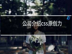 公司介绍css原创力