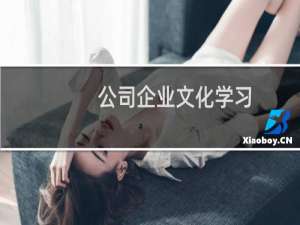 公司企业文化学习