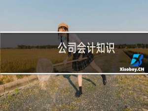 公司会计知识
