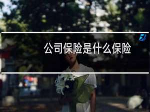 公司保险是什么保险