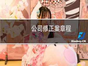 公司修正案章程
