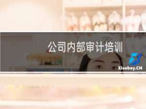 公司内部审计培训