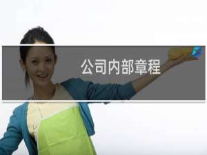 公司内部章程