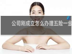 公司刚成立怎么办理五险一金