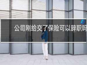 公司刚给交了保险可以辞职吗