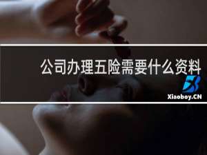 公司办理五险需要什么资料