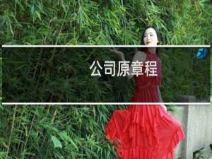 公司原章程