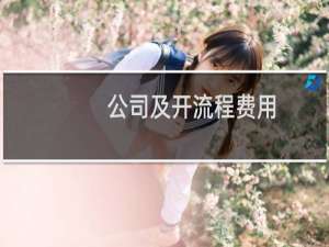 公司及开流程费用