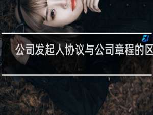 公司发起人协议与公司章程的区别