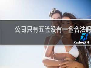公司只有五险没有一金合法吗