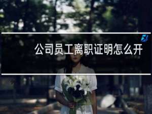公司员工离职证明怎么开