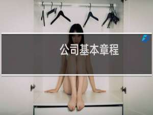 公司基本章程