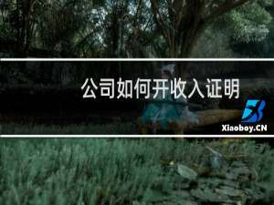 公司如何开收入证明