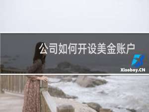 公司如何开设美金账户