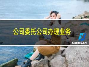 公司委托公司办理业务