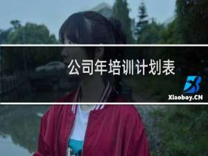 公司年培训计划表