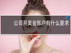 公司开美金账户有什么要求