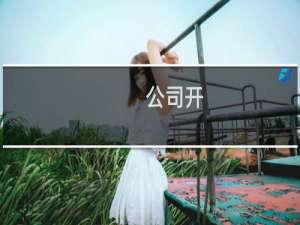 公司开