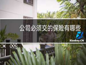 公司必须交的保险有哪些