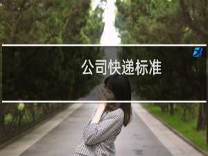 公司快递标准