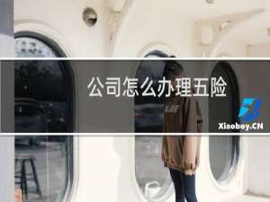 公司怎么办理五险
