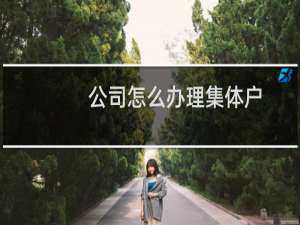 公司怎么办理集体户