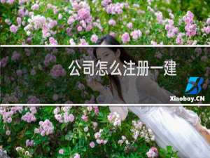 公司怎么注册一建