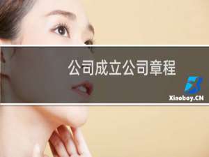 公司成立公司章程