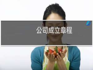 公司成立章程