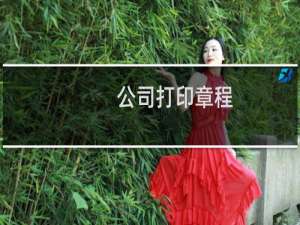 公司打印章程