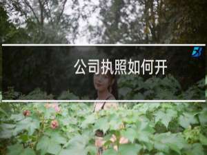 公司执照如何开